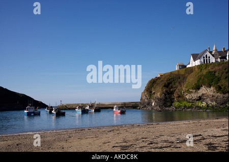 Blick auf das Meer bei Ebbe im Hafen von Port Isaac Stockfoto