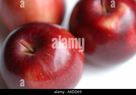 Nahaufnahme von frisch gepflückten Empire Äpfel roten Apfel Stockfoto