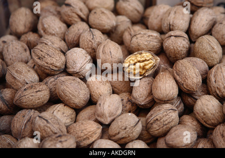 Persische Walnuss Stockfoto