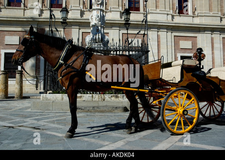 Spanien Andalusien Sevilla einen geparkten Kraftfahrzeug Wagen warten auf Touristen in der Nähe der Kathedrale Stockfoto