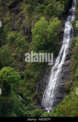 Reunion Island indischen Ozean Frankreich Salazie Wasserfall Stockfoto