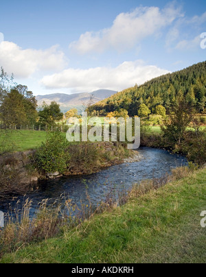 Newlands Beck Tal Blick nach Norden vom in der Nähe von Uzzicar auf dem Bauernhof Skiddaw in der Ferne Seenplatte Cumbria Stockfoto