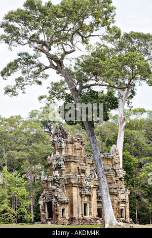 Prasat Suor Prat Turm, Angkor Thom, Angkor, Kambodscha Stockfoto