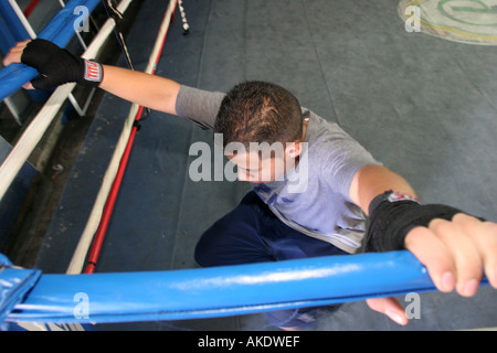 Miami Florida, Allapattah, Little Dominican Republic, Teo Cruz Boxing Gym, Ringseile, lateinamerikanische lateinamerikanische ethnische Einwanderer Minderheit, spanisch, A Stockfoto