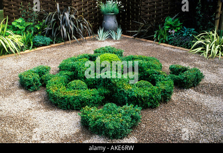 Buchsbaum-Knoten-Garten auf Kies Design Naila Green Stockfoto