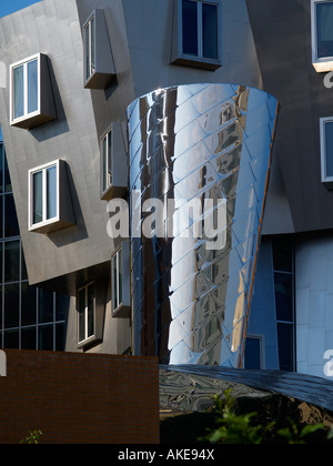 Das Stata Center Architekt Frank Gehry Massachusetts Institute of Technology Cambridge Massachusetts USA Stockfoto