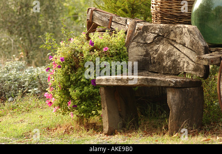 Stein-Sitzbank mit Weinflaschen in Weinbergen der Toskana Italien Stockfoto