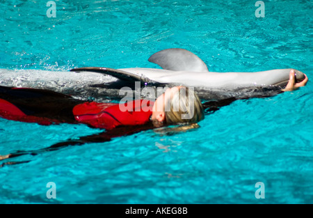 Weibliche Delfintrainerin interagiert mit Delfinen während einer Vorstellung im Marine Land, Niagara Falls, Kanada. Stockfoto