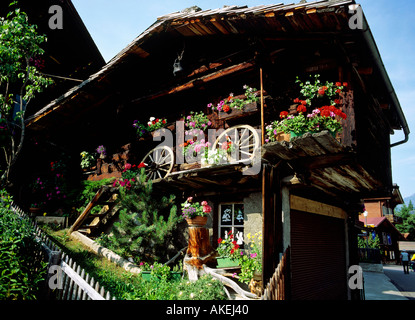 traditionellen Schuppen Dorf Mürren Region des Berner Highlands Alpes Kanton Bern Stockfoto