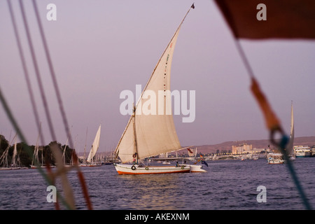Faluka, Segelboot am Nil bei Assuan. Stockfoto