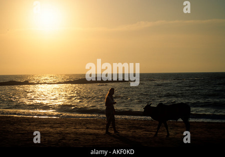 Indien, Goa, District Bardez, Anjuna, Anjuna Strand Stockfoto