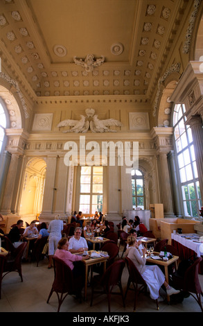 Cafe in der Gloriette Im Schlosspark Schönbrunn Stockfoto