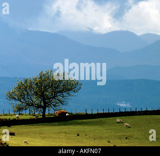 DIE WECHSELNDEN WETTERLAGEN IM TROSSACHS BEREICH DER ZENTRAL-SCHOTTLAND Stockfoto