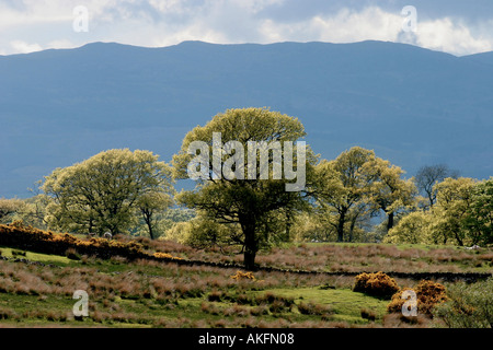 DIE WECHSELNDEN WETTERLAGEN IM TROSSACHS BEREICH DER ZENTRAL-SCHOTTLAND Stockfoto