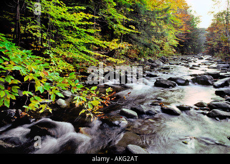 Wasser fließt über die Felsen an einem Herbsttag in New Hampshire Stockfoto