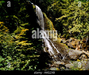 Dünnen Bändchen von Wildwasser fällt Falls Creek Falls im Mount Ranier National Park in Washington Stockfoto