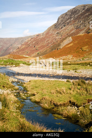 Wilde und schroffe Schönheit der Langstrath Tal Borrowdale in den Lake District National Park Cumbria Stockfoto