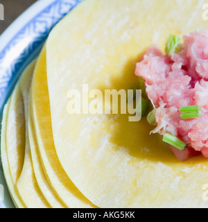 Nahaufnahme der Füllung auf chinesische Knödel Stockfoto