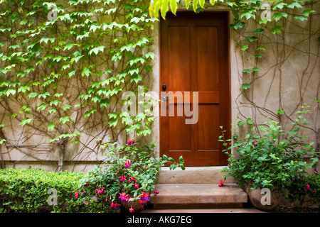 Detail der Holztür neben Mauer mit Efeu. Stockfoto