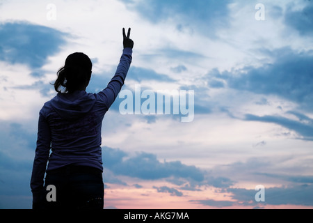 Shilloute gegen den Himmel Stockfoto