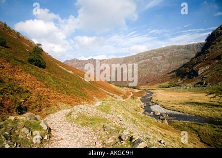 Wilde und schroffe Schönheit der Langstrath Tal Borrowdale in den Lake District National Park Cumbria Stockfoto