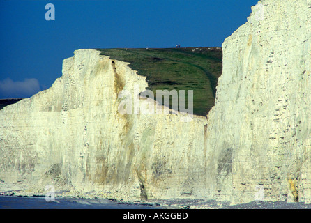 Kreidefelsen in der Nähe von Dover Stockfoto