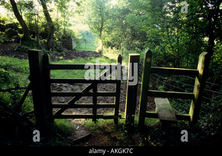 Holztor und Stil in einem englischen Holz Stockfoto