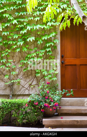 Detail der Holztür mit Efeu bedeckt Wand. Stockfoto