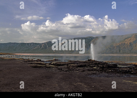 Geysire heiße Quellen Afrika Warmwasser Geyser am Lake Bogoria in Kenia Stockfoto