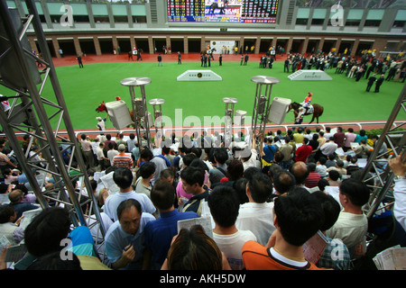 Pferd und Jockey zeigen, dass die Parade in Sha Tin Racecourse in Hongkong nur wenige Minuten, bevor das Rennen startet. Stockfoto