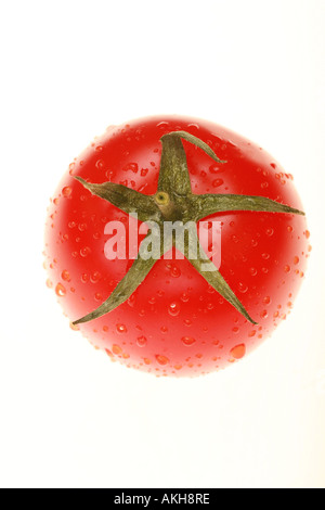 Nahaufnahme von Tomaten mit Wassertropfen starke Hintergrundbeleuchtung shallow DOF Stockfoto