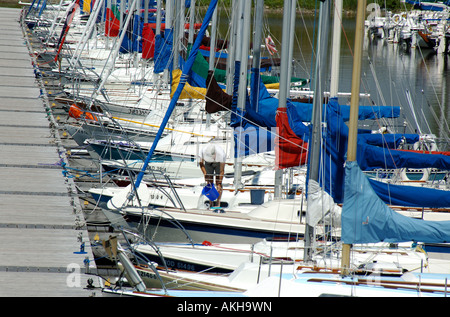 Kanada, Ottawa, Nepean, Britannia Yacht Club, Yachten, Segelboote, vertäute, Marina Stockfoto