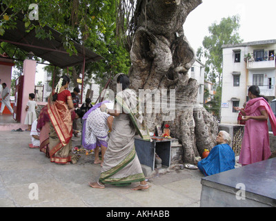 Indianerfest - MwSt Savitri: The Savitri Festival fällt auf den Vollmondtag des Monats Jyeshtha, etwa im Juni. Stockfoto