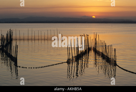 Sonnenuntergang Fischernetze Laberinth Albufera s See Valencia, Spanien Stockfoto