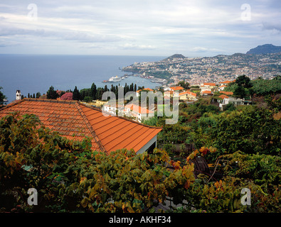 Aussichtspunkt am Funchal Madeira Portugal Europa. Foto: Willy Matheisl Stockfoto