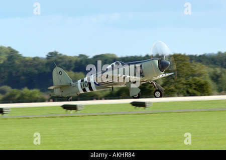 Ein 1950er Jahre Veteran des Korea-Krieges die Royal Navy Hawker Sea Fury. Stockfoto