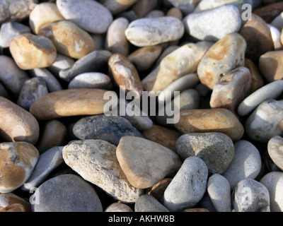 Kieselsteine am Chesil Beach Stockfoto