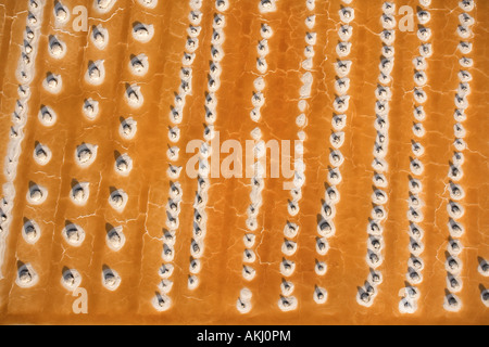 Antenne des Alkalis Wohnung in Owens Valley Kalifornien USA Stockfoto