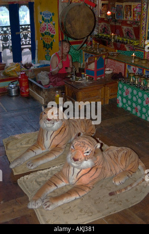 Gefüllte Tiger Mönch beten in einem tibetischen Kloster in Dabpa County Kham Sichuan Provinz China Tibet Stockfoto