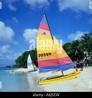 Zwei Hobie Cat Katamarane mit bunten Segeln am Rand des Wassers im Tamarind Cove Strand mit Palmen über Barbados Stockfoto