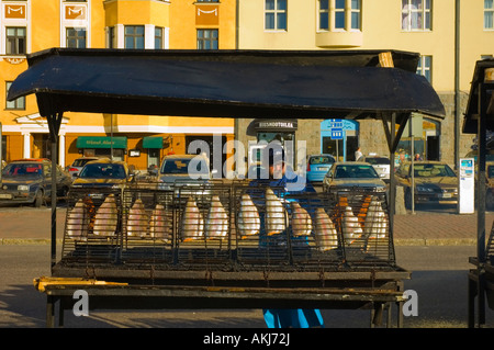 Lachs gekocht wird über offenem Feuer Laukontori Markt Platz Tampere Finnland Mitteleuropa Stockfoto