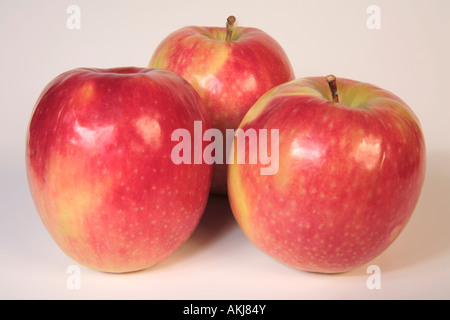 Äpfel, Cripps Pink Stockfoto