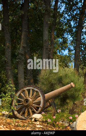 Altmodische Kanone in einem Wald Stockfoto