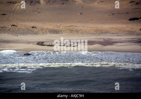 Skeleton Coast Schiffswrack am Strand von Namib Wüste Stockfoto
