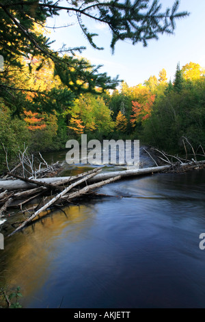 Zwei Nerven Fluss Michigan s obere Halbinsel Stockfoto