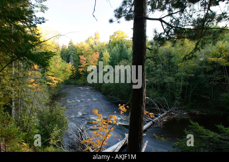Zwei Nerven Fluss Michigan s obere Halbinsel Stockfoto