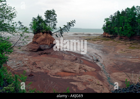 Meer geformte Blumentöpfe in der Nähe von Five Islands in Minas Basin Bay Of Fundy Nova Scotia Kanada Stockfoto