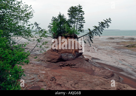 Meer geformte Blumentöpfe in der Nähe von Five Islands in Minas Basin Bay Of Fundy Nova Scotia Kanada Stockfoto