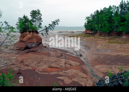 Meer geformte Blumentöpfe in der Nähe von Five Islands in Minas Basin Bay Of Fundy Nova Scotia Kanada Stockfoto