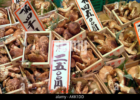 Matsutake Pilze auf dem Display in Nishiki Straßenmarkt Kyoto Japan Stockfoto